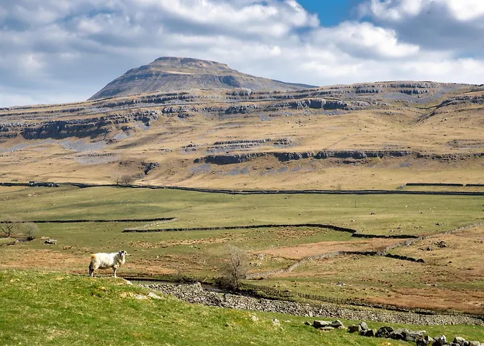 Falls Park Holiday park